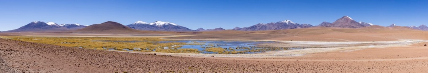 Fototapeta na wymiar Discovering the scenic wetlands Vado Rio Putana between San Pedro de Atacama and the geysers of El Tatio in the Atacama desert in Chile, South America - Panorama