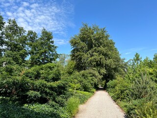 Nordheim Cemetery Park or Park of the Nordheim cemetery - Park des Nordheimer Friedhofs oder Friedhofspark Nordheim - Zürich (Zurich or Zuerich), Switzerland (Schweiz)