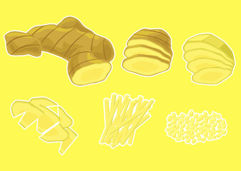 生姜：丸ごと　カット　断面※Affinity Designer作成svgファイル