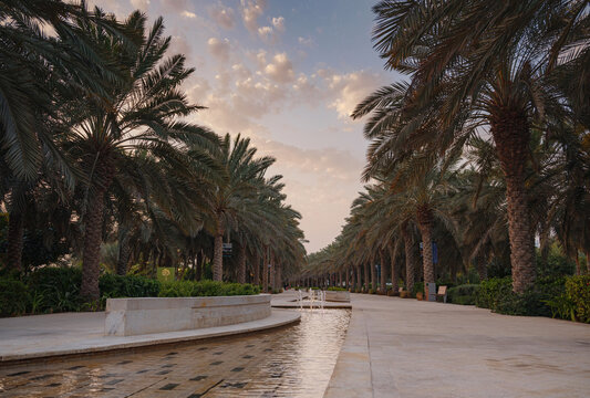 Large green evening park in the big city, Umm Al Emarat Park in Abu Dhabi UAE. park with indoor pavilion and botanical garden