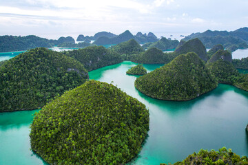 View from the top of the Wayag Islands. Blue Lagoon with Green Rocks. Limestone islands in remote archipelago. Tower karst panorama. Raja Ampat, West Papua, Indonesia.