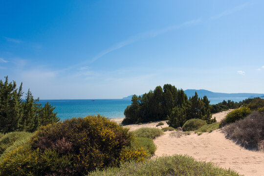 Exotic beach as part of paradise beach at the south coast of the island of Kos, Dodecanese, Greece