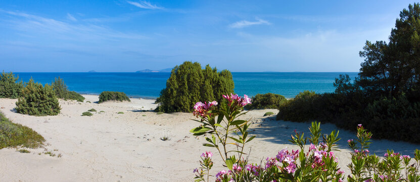 Exotic beach as part of paradise beach at the south coast of the island of Kos, Dodecanese, Greece