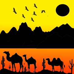camels in desert , desert scenery 