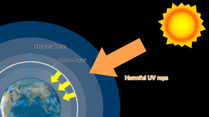 The ozone layer blocks harmful UV rays from the sun.	
