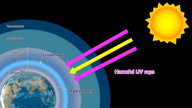 The ozone layer blocks harmful UV rays from the sun.	
