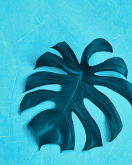 Generated illustration dark мonstera leaf on blue background