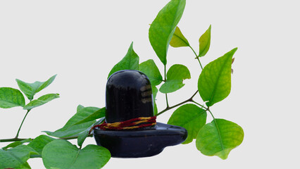 Lord shiva lingam idol and Bael leaves, Indian people use bael leaves to worship Lord Shiva.