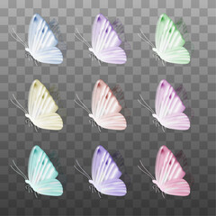 vector colorful realistic bright butterfly isolated on tranparent background