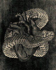 Viper snake. Hand drawn illustration in ink technique on grunge background