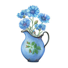 Bouquet with blue cornflower flowers (Centaurea cyanus, bachelor's button, knapweed or bluett) in a enamel pitcher. Watercolor hand drawn painting illustration isolated on white background.