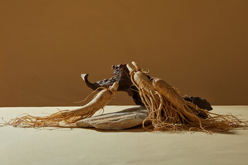Some ginseng roots are decorated over the brown background with a tree branch. A stone podium for...