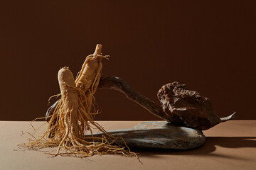Ginseng roots displayed with some stones on dark background. Ginseng (Panax ginseng) has...