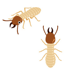 シロアリのイラスト
