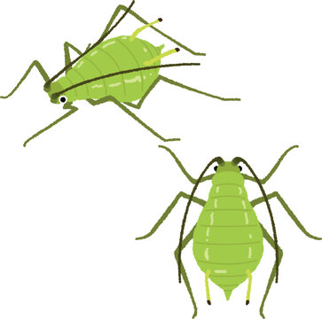 アブラムシのイラスト