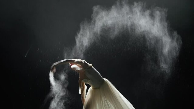 Beautiful dramatic dance, elegant ballerina in a white tutu, ballerina perform choreographic elements on a black background, haze effect on a dark stage, super slow motion.