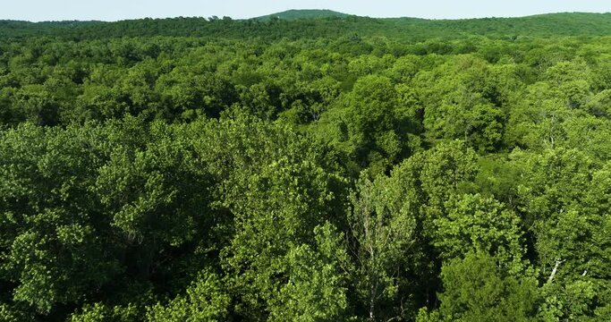 Lush Green Forests In Arkansas, USA - aerial drone shot