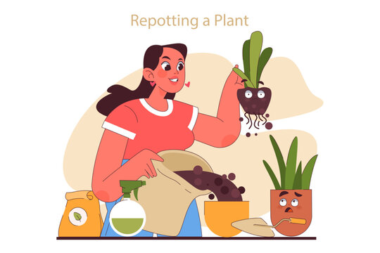 House plant care tips. Woman enjoy gardening taking care and repotting