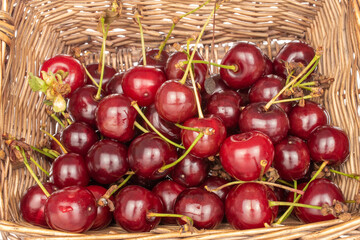 Several juicy red cherries in a basket, macro.