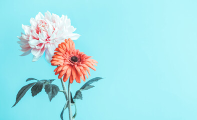 Flower vitage on solid pastel for background decoration design.