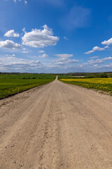 unpaved road in rural areas in spring, unpaved road