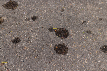 Close up of an asphalt road