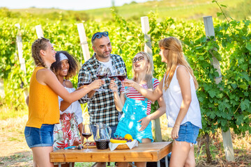 Happy men and women having fun drinking wine in vineyards during wine tasting party tour - 621827189