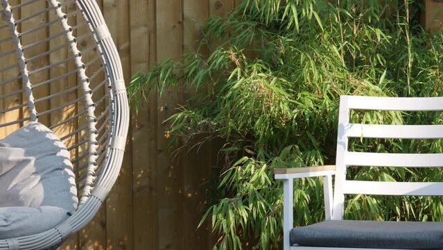 Summer garden scene showing swing chair, garden chair and bamboo plants on a summers day