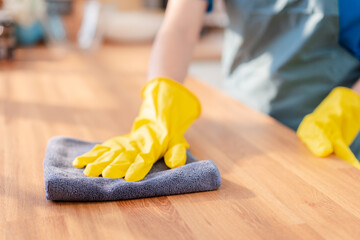 Housework or house keeping service female cleaning dust in house, cleaning agency small business....