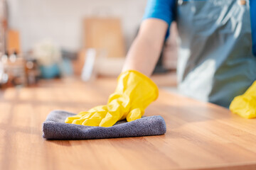 Housework or house keeping service female cleaning dust in house, cleaning agency small business....