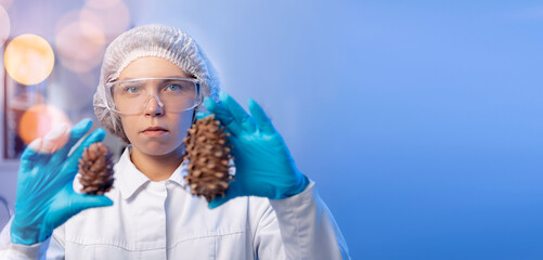 Worker chemist in laboratory test cone pine cedar, blue background. Concept Food industry, candy...