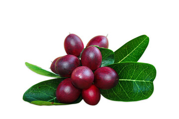 Plums isolated on white PNG