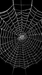 a spider web with a hole in the center