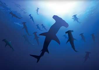 Hammerhead Sharks in Deep Blue Sea - Colored Illustration, Vector