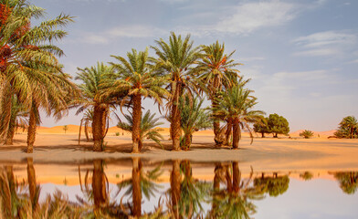 Fototapeta na wymiar Sand dunes surround the oasis - Sahara, Morocco