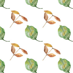 Watercolor hand drawn seamless pattern with red orange yellow fall autumn leaves, maple oak vine leaf. October september thanksgiving background with leaves.