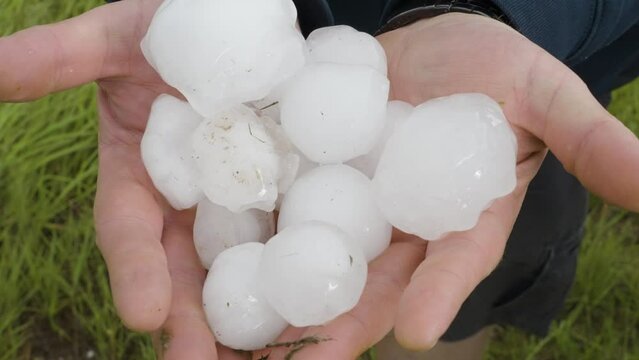 Giant Hail Stones In Hand, Extreme Severe Weather, Power Of Nature