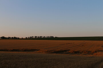 Obraz premium A large field with trees in the distance