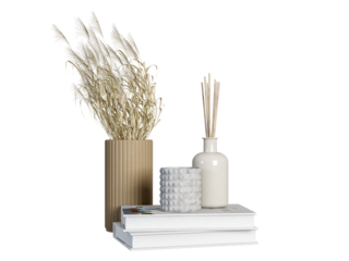 Dried flower in vase and book on white