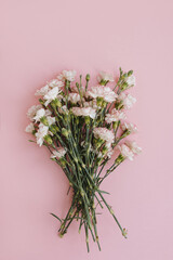 Pink carnation flowers bouquet on pink background. Flat lay, top view minimal floral composition