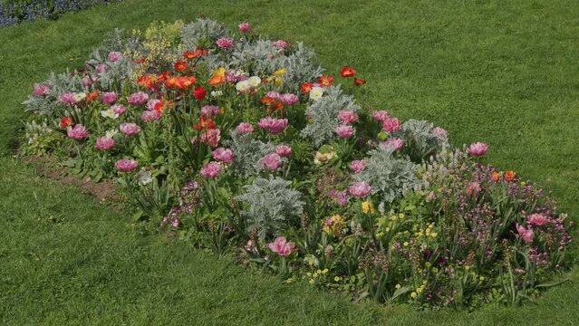 flower beds in parc Belleville in Paris