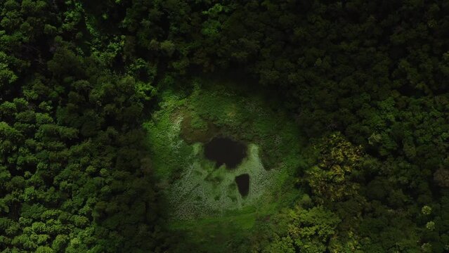 Trou aux Cerfs, dormant volcano, Curepipe, Mauritius - aerial view of the volcano and crater
