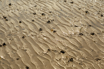 Ripples in the sand on a beach