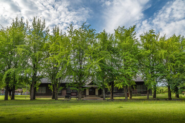 茨城県水戸市　茨城県立歴史館の初夏の風景