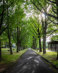 茨城県水戸市　茨城県立歴史館の初夏の風景