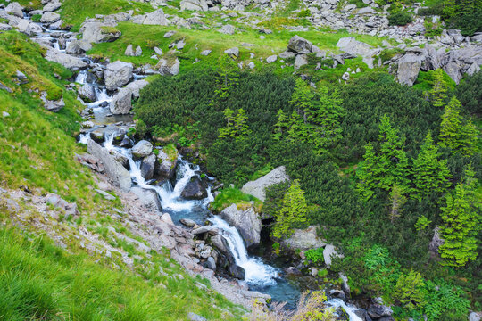 rapid water stream among stones and boulders. beautiful scenery in romanian mountains. view from above