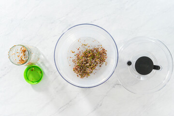 Growing sprouts in a jar