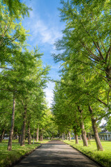 茨城県水戸市　茨城県立歴史館の初夏の風景