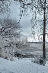 winter landscape with trees and snow and river