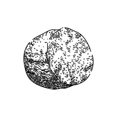 flavor nutmeg spice hand drawn. nut seasoning, spicy aromatic, condiment powder flavor nutmeg spice vector sketch. isolated black illustration